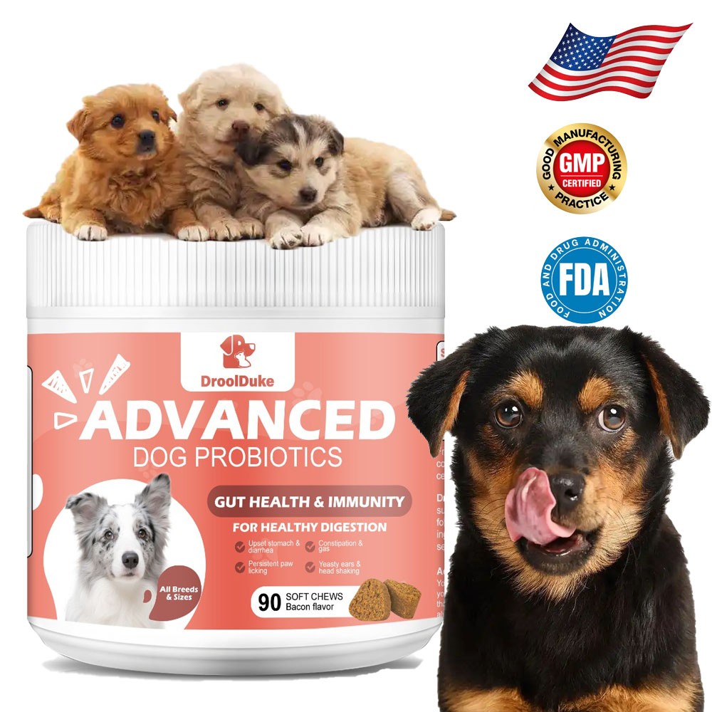 Probiotics for Dogs Soft Chews for Seasonal Allergies, Gut, and Digestive Health