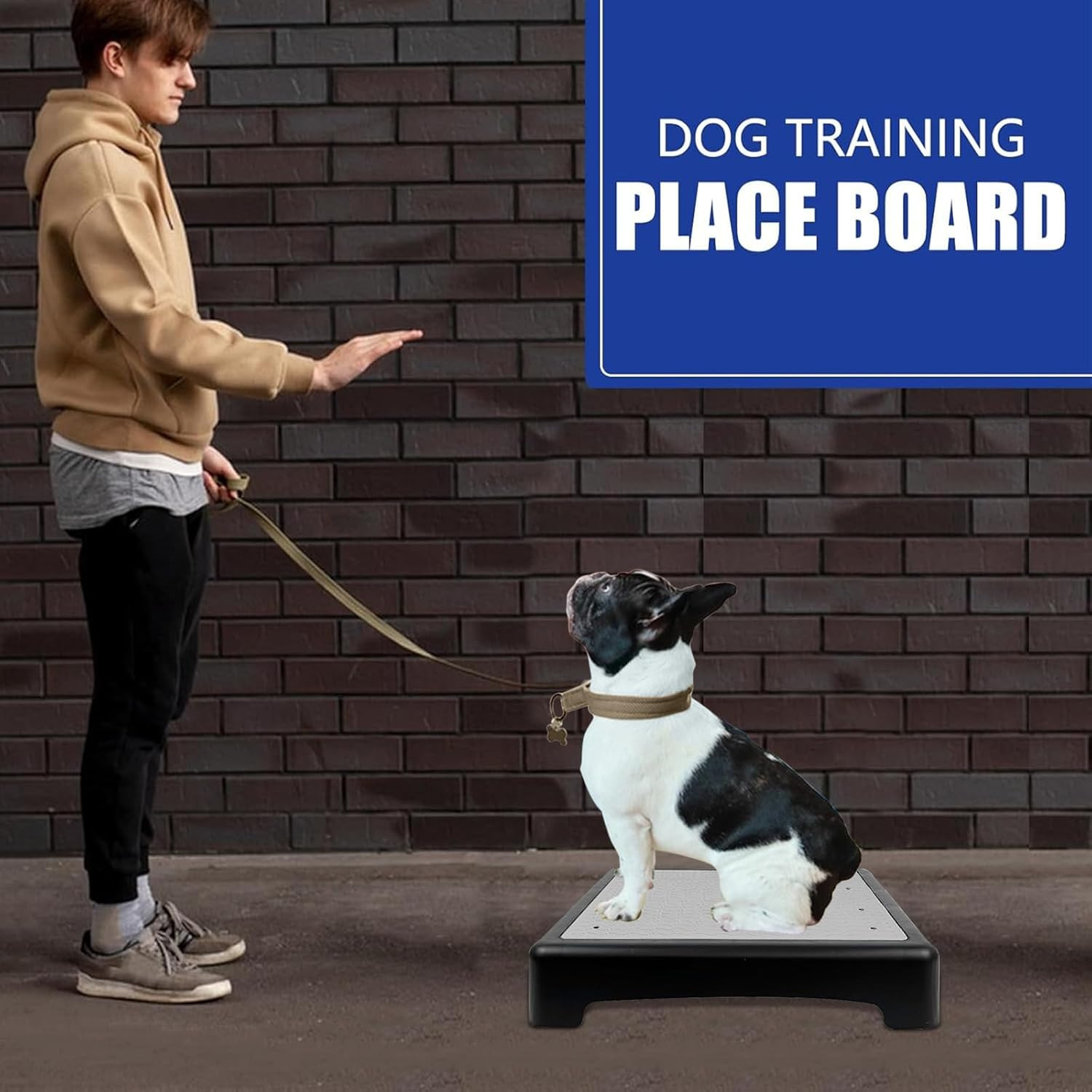 Dog Training Place Board with Non-Skid Surface, Dog Platform for Training, Porta