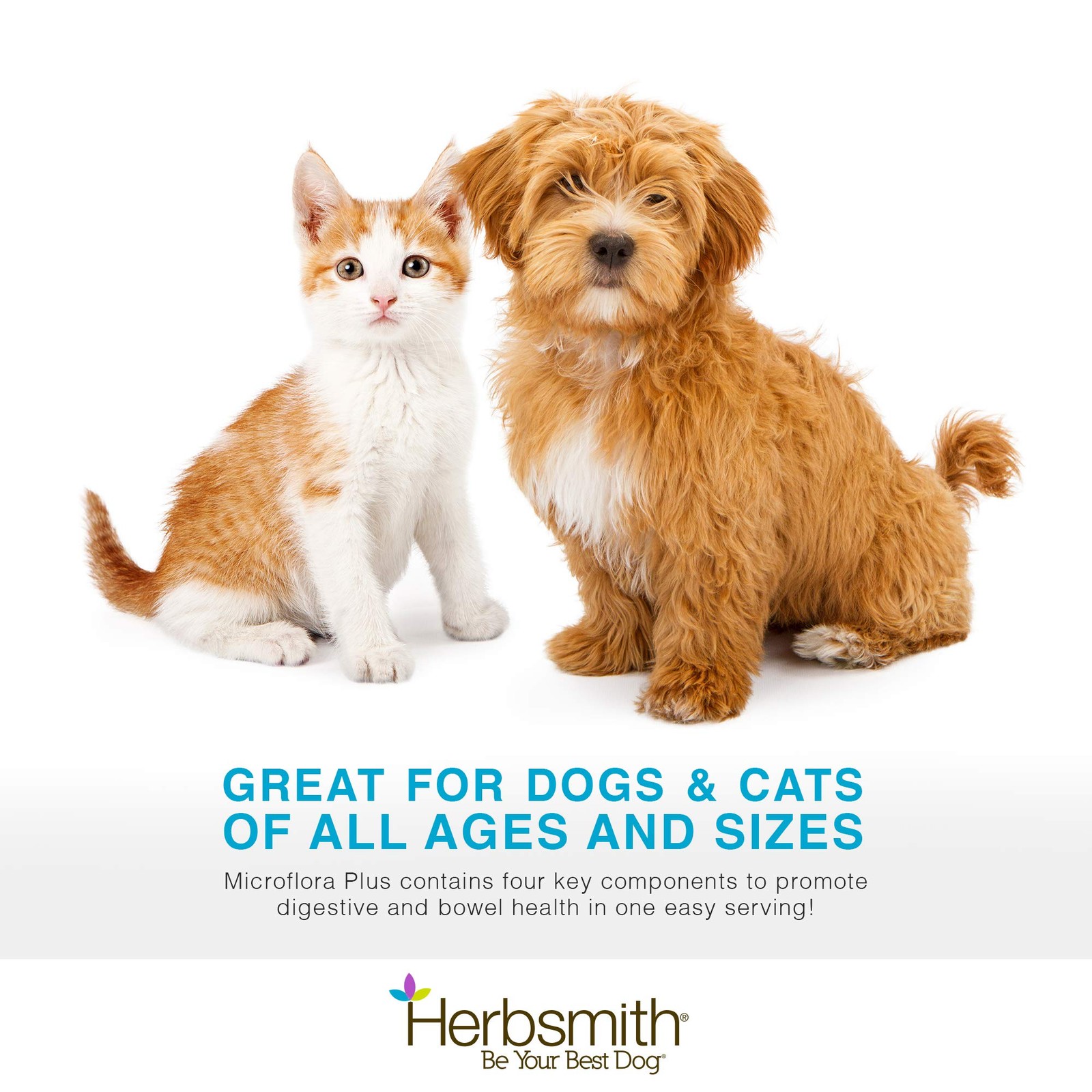 Herbsmith Microflora Plus – Dog Digestion Aid –Probiotics and Digestive Enzy…