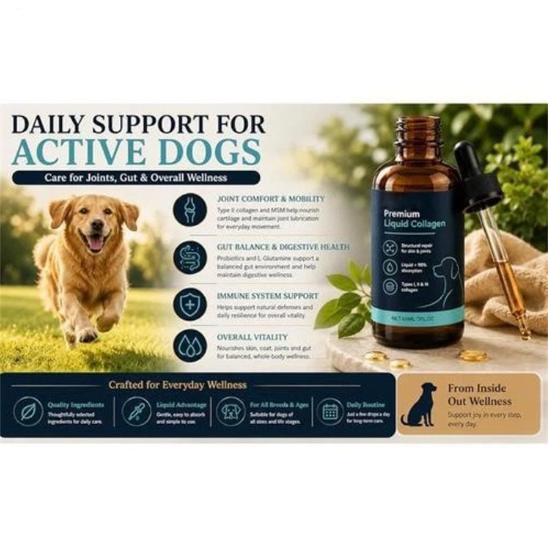 3 Pack Healthy Petz Premium Liquid Collagen For Dogs, Supplement With Collagen