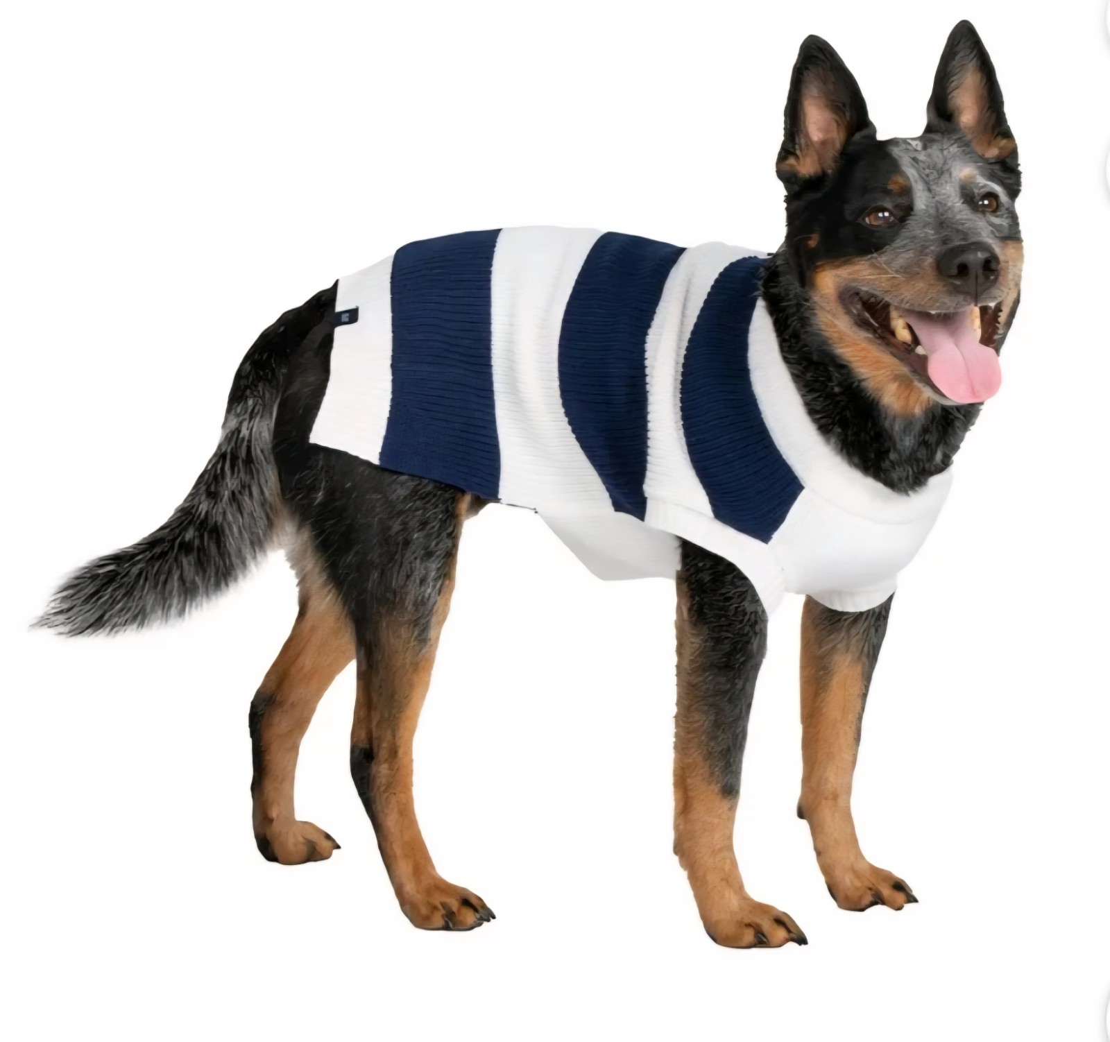 GAP Logo Blue & White Striped Henley, Pullover Puppy/Dog Sweater, Large