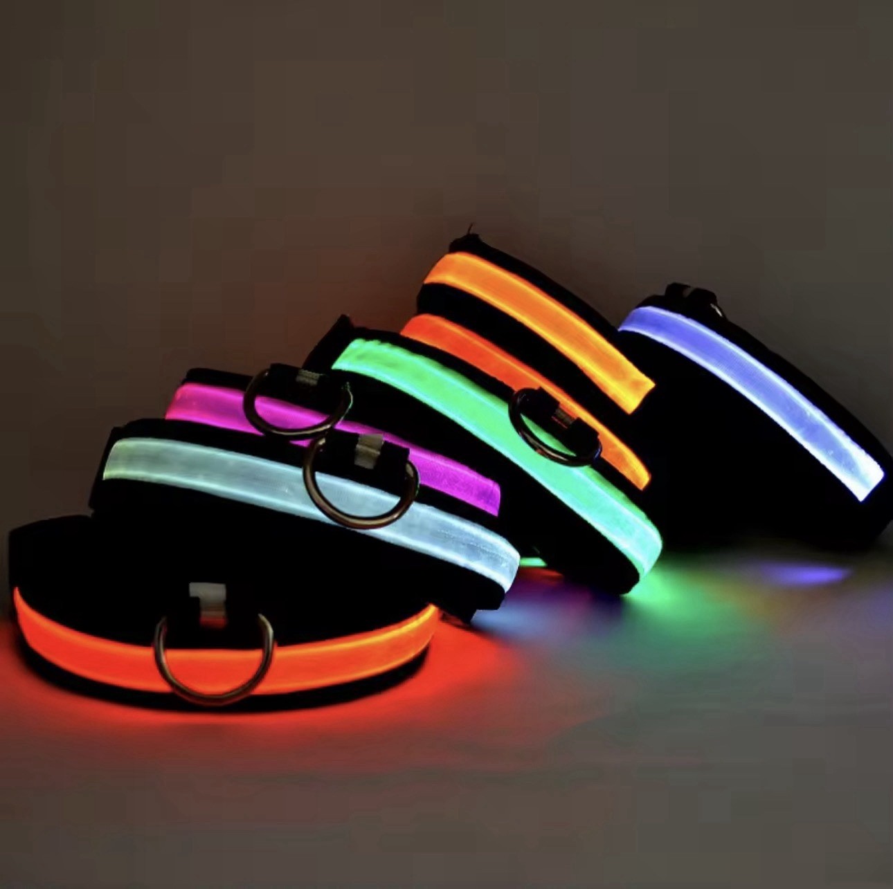 LED Dog Collar USB Rechargeable Waterproof Light Up for Night Safety