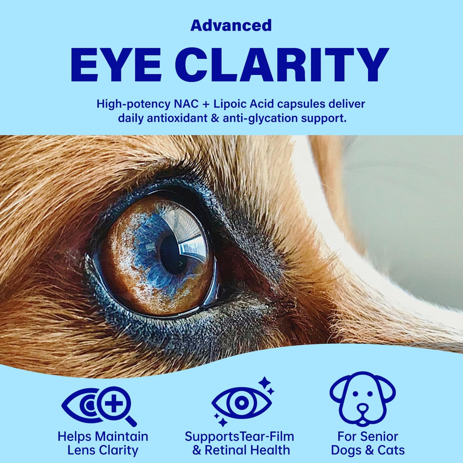 Eye Supplements for Dogs – Vision Support Soft Chews with 90 Ct, White