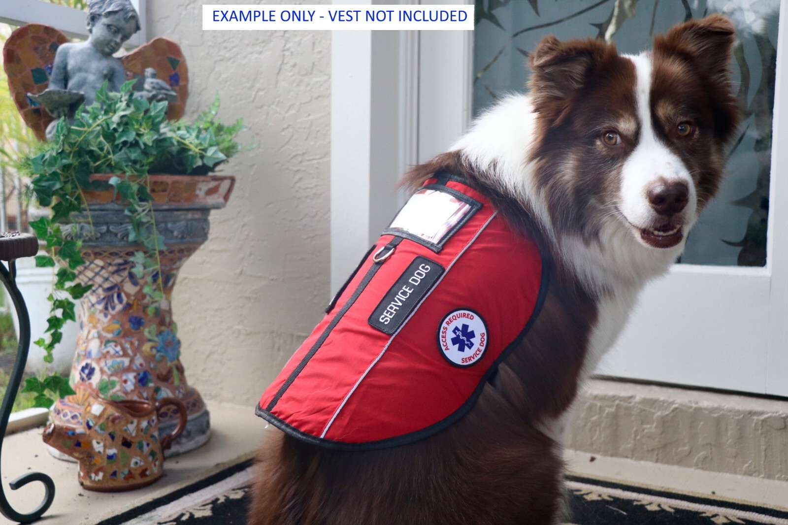 Vest Patches: Service Dog | Therapy | ESA Support Dog | PTSD | ALL ACCESS CANINE