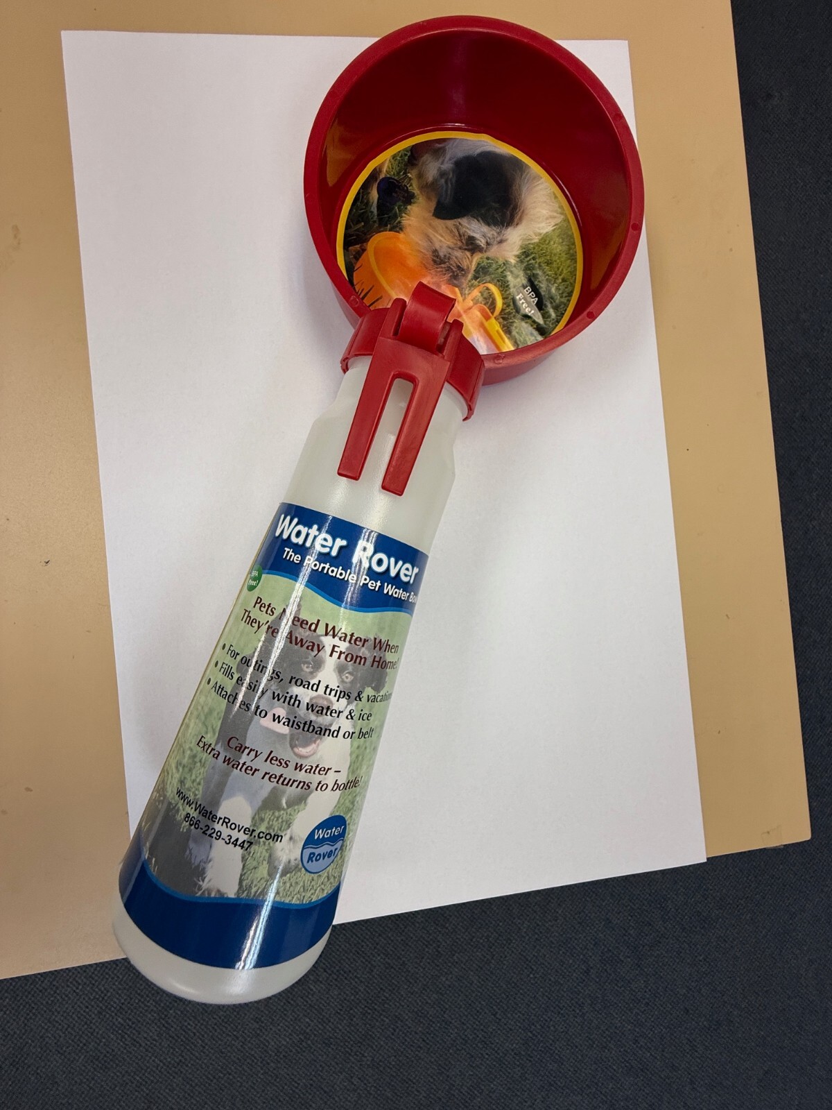 12 PIECES OF WATER ROVER FOR DOGS / PETS- master carton