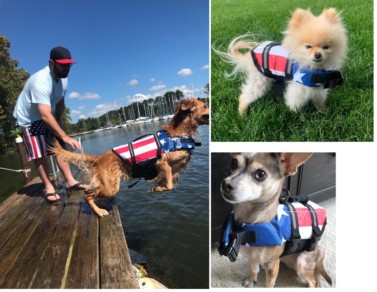 Dog Life Jacket Flotation Vest Medium Patriotic American Flag 20-28lbs Beagle