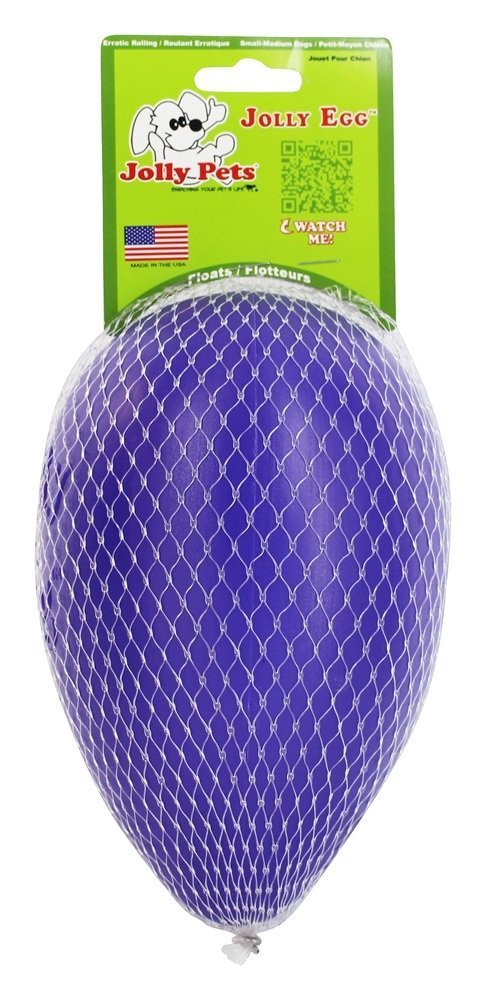 Jolly Pets Egg 8 inch Purple Hard Plastic Chew Toy for Small Dogs