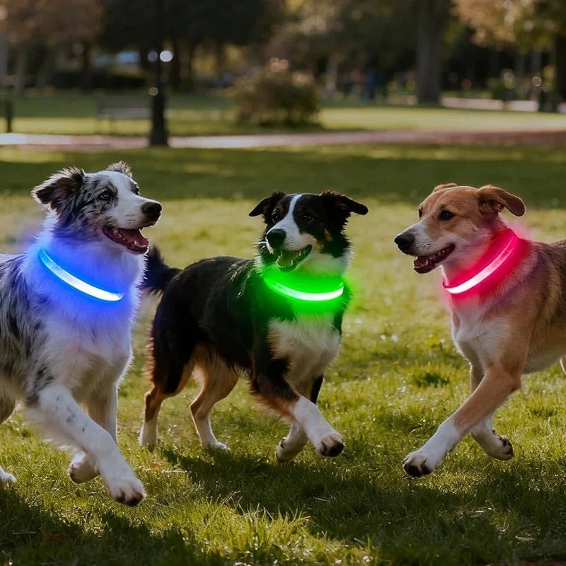 LED Adjustable Dog Collar Blinking Flashing Light Up Glow Pets Safety Waterproof