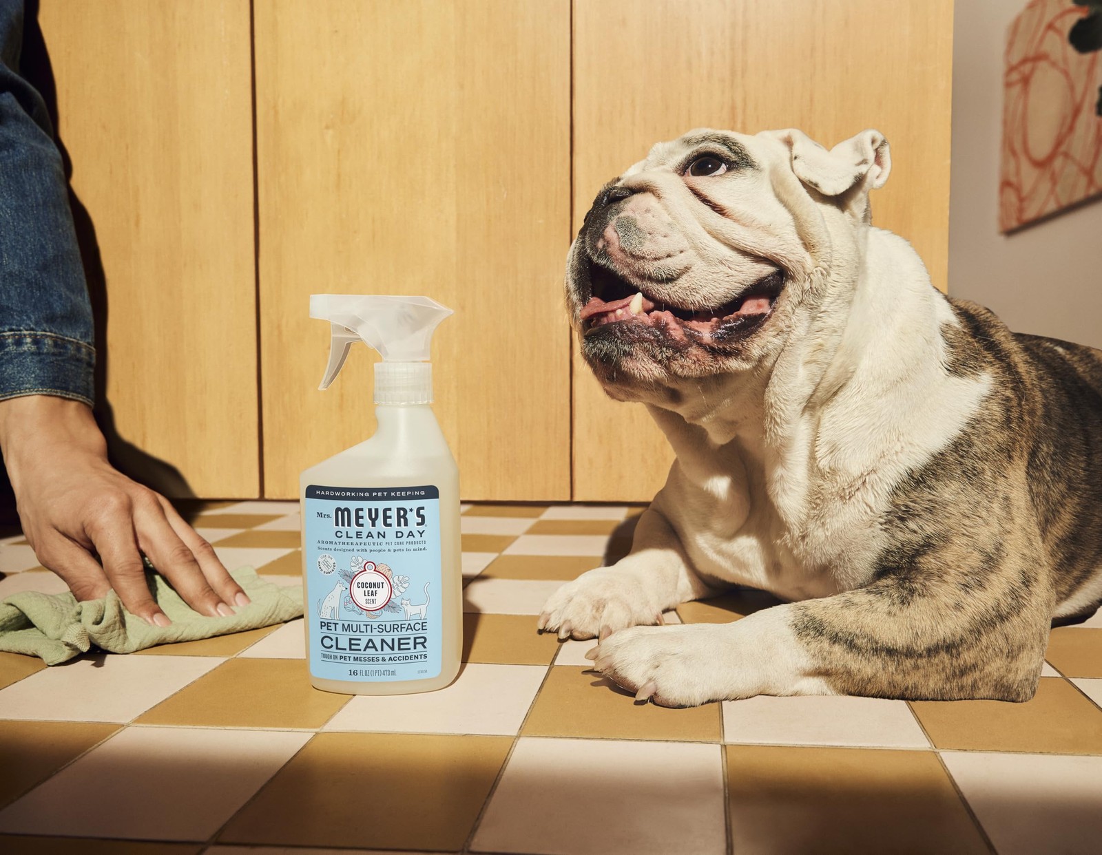 Mrs. MEYER’S CLEAN DAY Pet Multi-Surface 16 Fl Oz (Pack of 1), No Color