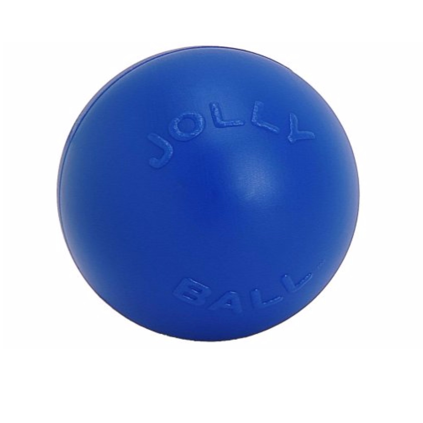 Jolly Pets Push-N-Play Ball Blue 6 inch Hard Plastic Chew Toy for Dogs