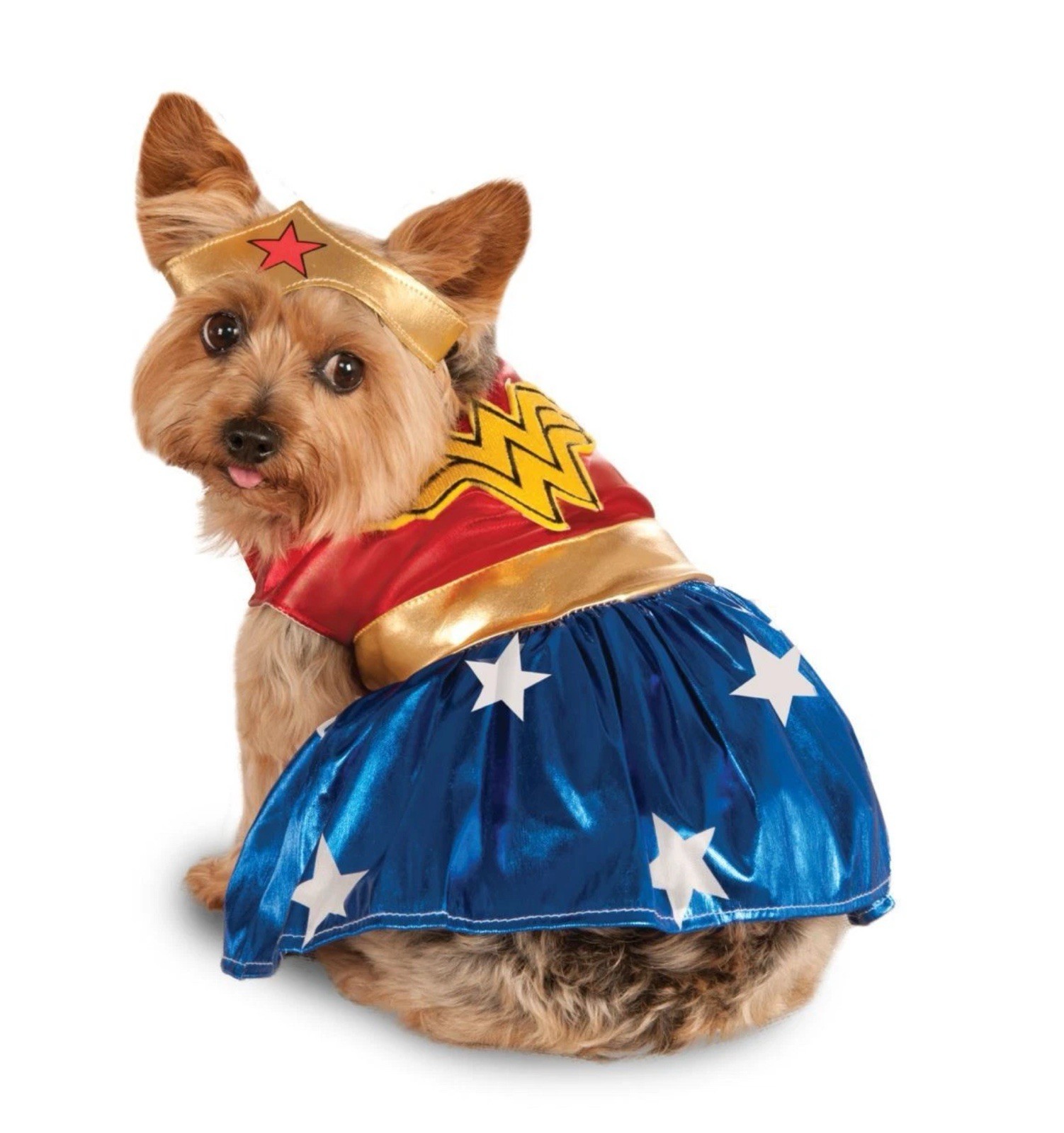 🥥 Rubies Best Comics Wonder Woman Pet Costume Size Small🆕AS SHOWN👇