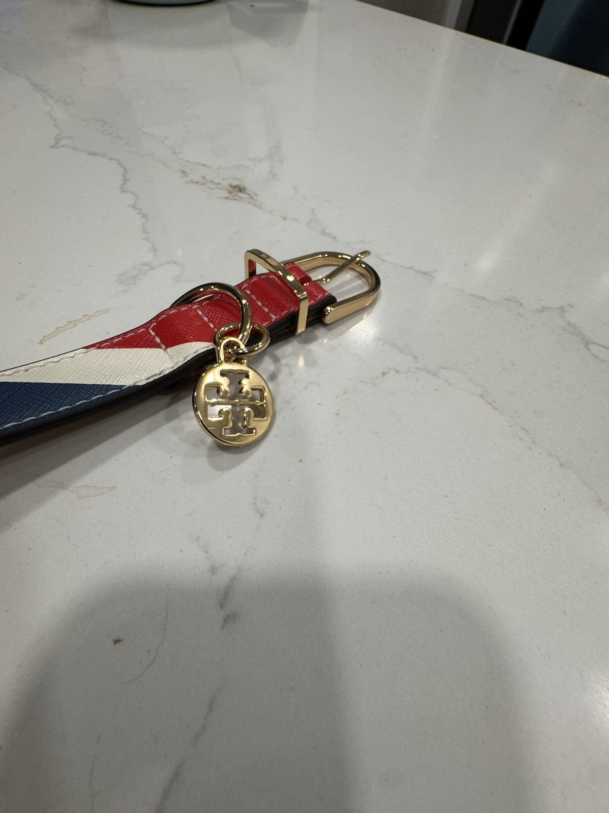 Tory Burch Multi Striped Dog Collar M/L