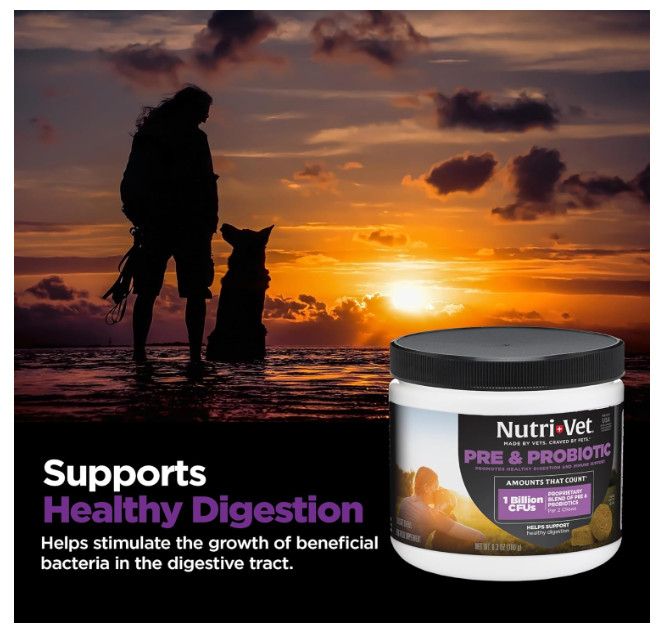 Nutri-Vet Pre and Probiotic for Dogs Digestive Health Support 120 Soft Chews NEW