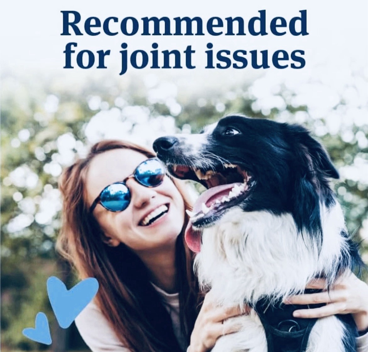 PetArmor Aspirin Hip & Joint Pain Relief Chewable Tablet S-M Dogs 75ct 2 Pk
