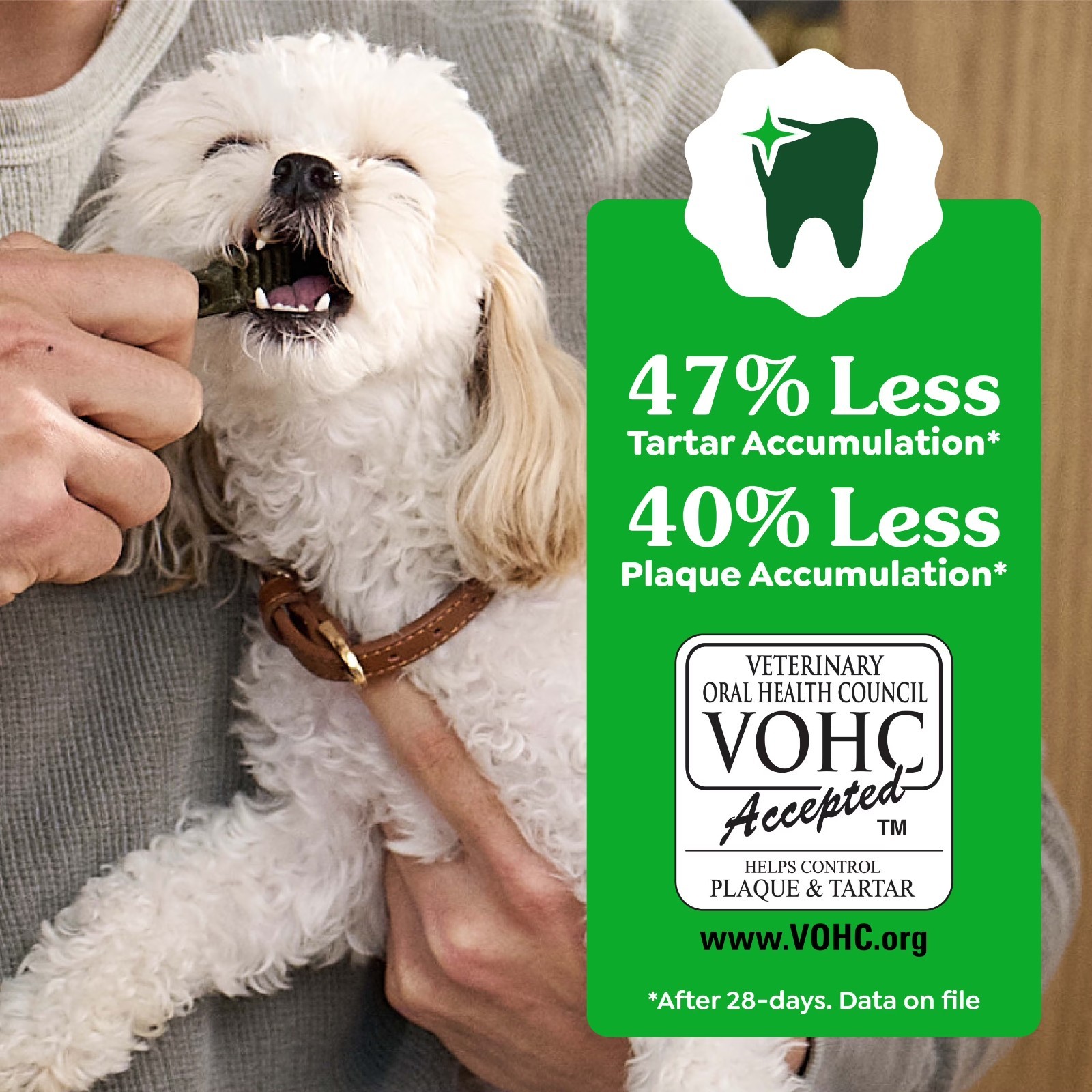 Greenies Original Petite Dental Dog Treats for Adult Dogs, 36 oz Bag, 60 Count
