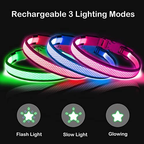 LED Dog Collar, Light Up Dog Collar USB Rechargeable, Assorted Colors , Sizes