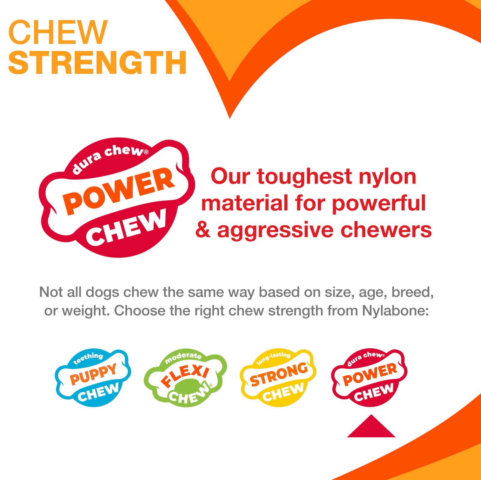 Nylabone Power Chew Small Textured Ring Durable Dog Toy for Aggressive Chewers
