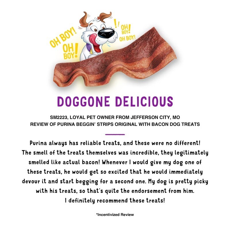 Beggin’ Purina Strips Chewy Dog Training Treats Original