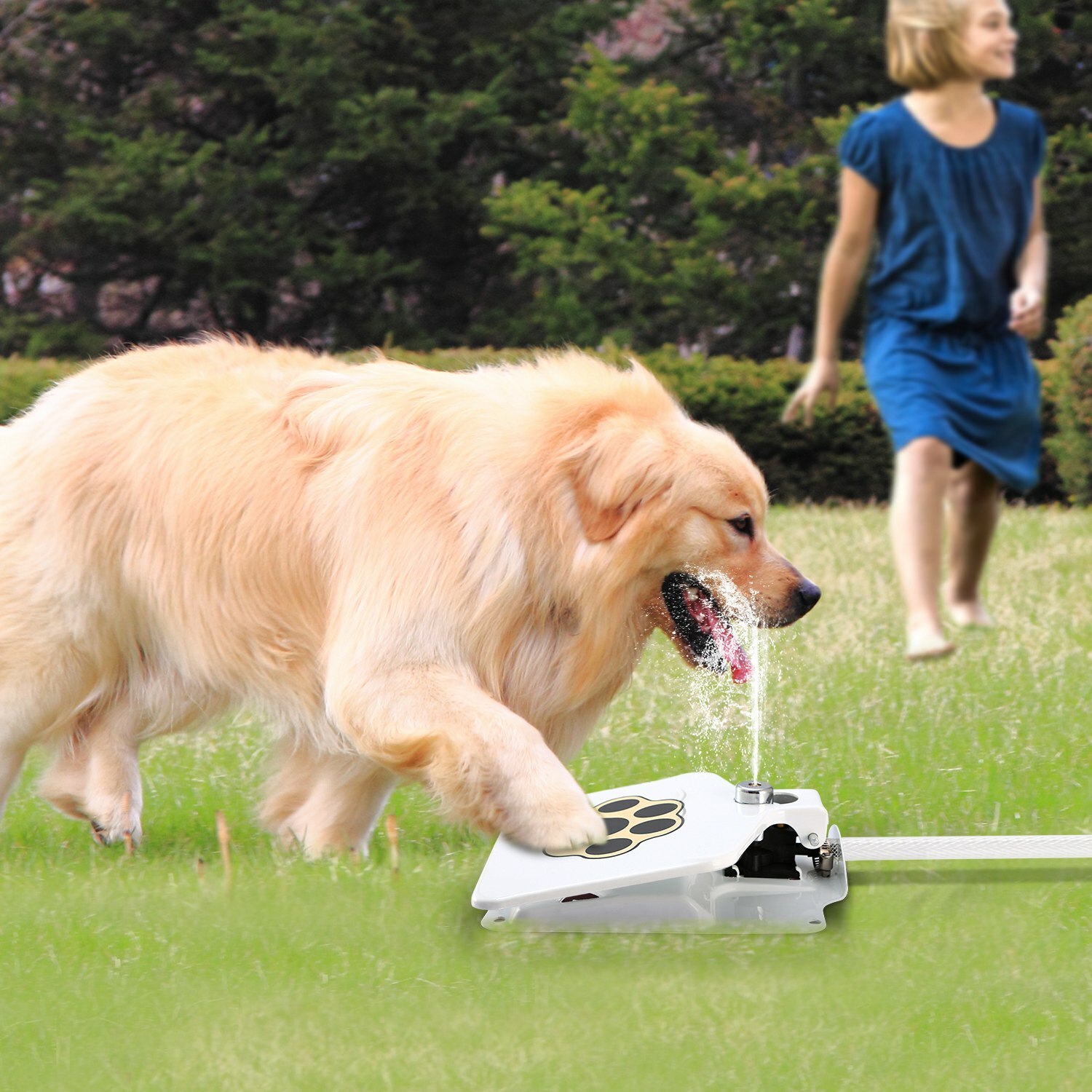 Outdoor Dog Pet Water Fountain Step-on Brass Valve Dispenser System Sprinkler