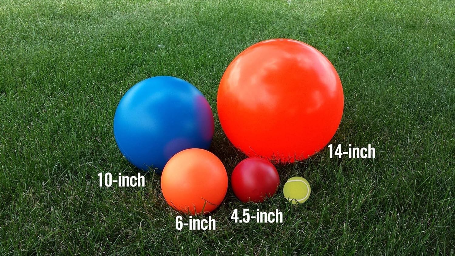 Virtually Indestructible 10-Inch Dog Ball for Active Large Breeds – Floating Toy