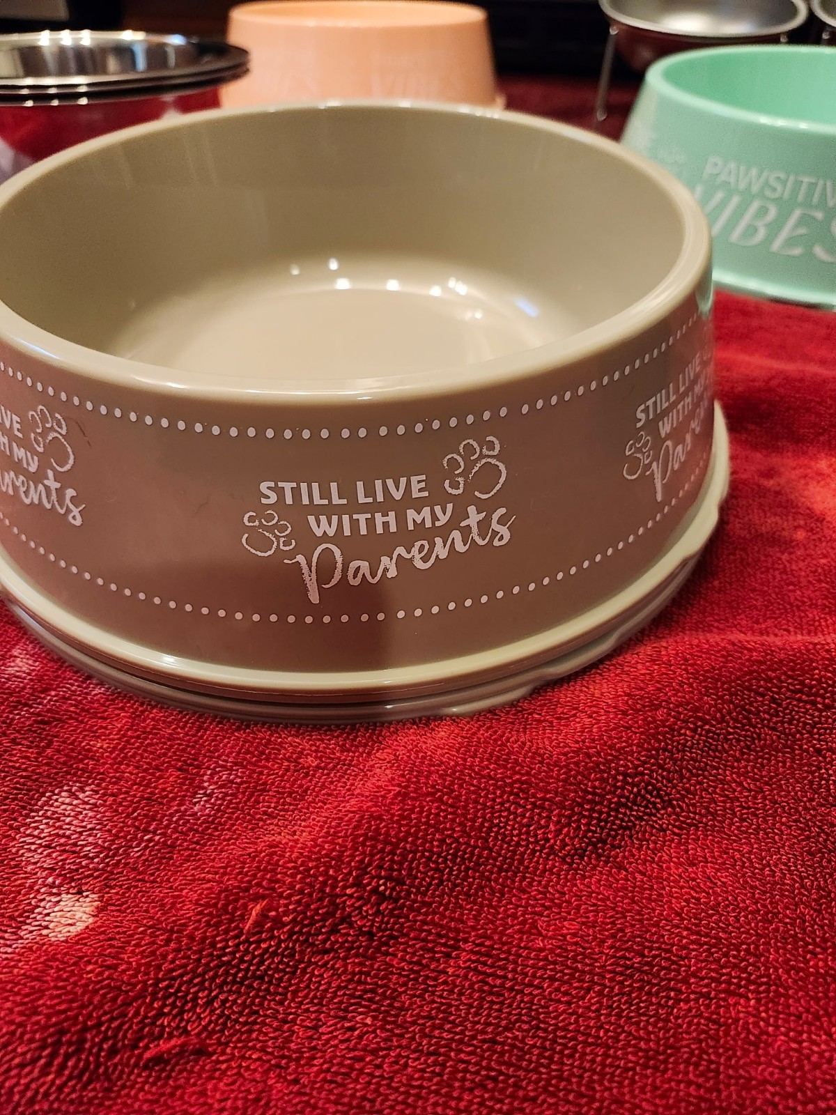 Pet Feeding Bowls. Set of 2. (Large, Small, Plastic or Elevated). FREE SHIPPING!