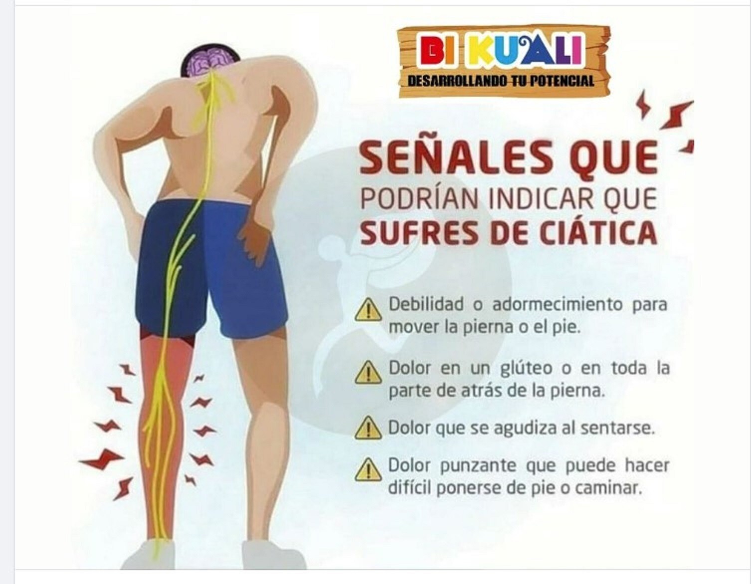 POWERFUL HERBS FOR SCIATICA PAIN IN MEN & WOMEN – 120 CAPS – MADE IN USA