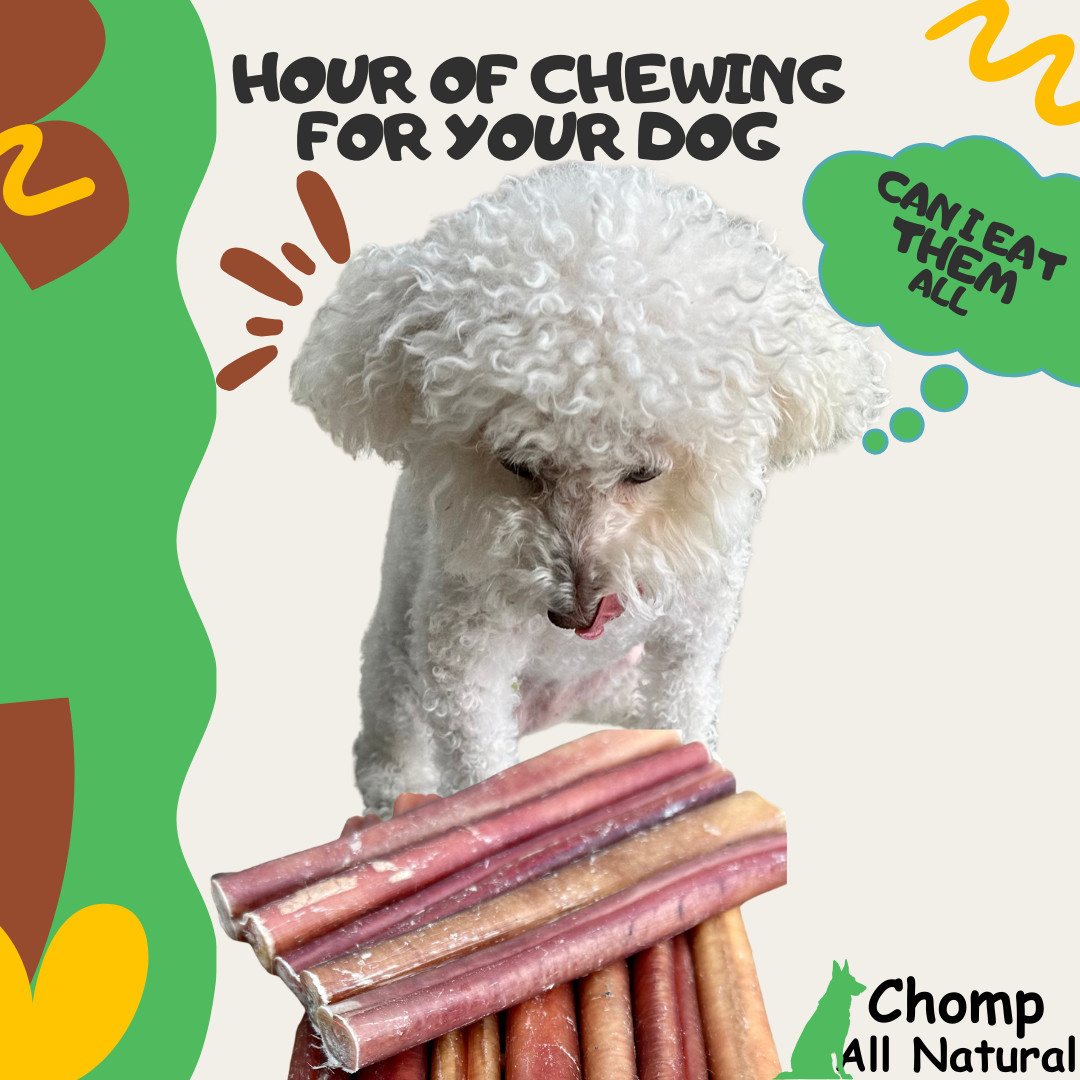 6″ inch BULLY STICKS Natural Dog Treats Chews USDA & FDA Approved, By Chomp