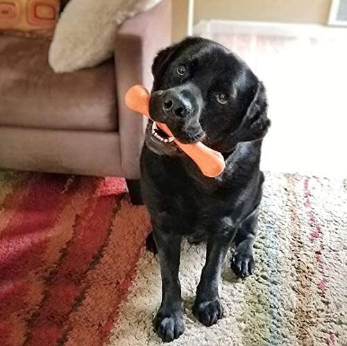 Jolly Pets 9-inch, Jolly Bone, Orange, Large
