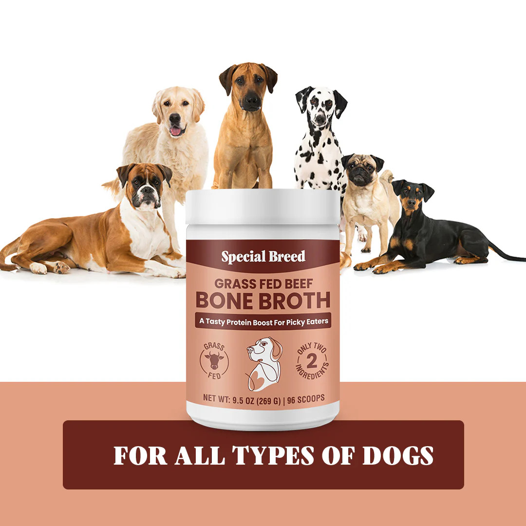 Bone Broth Powder 9.5oz