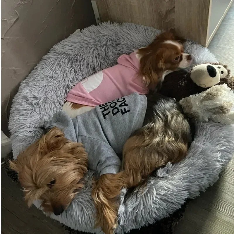 Dog Winter Hoodie, The Dog Face Coat Warm Dog Vest for Small Medium Large Dog