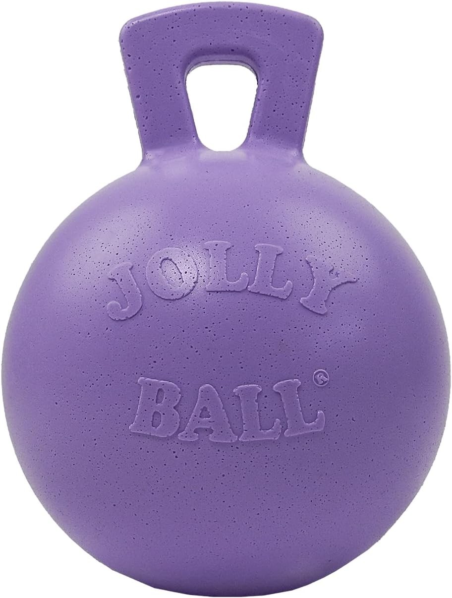 Jolly Pets Tug-n-Toss Heavy Duty Dog Toy Ball with Handle, 8 Inches/Large