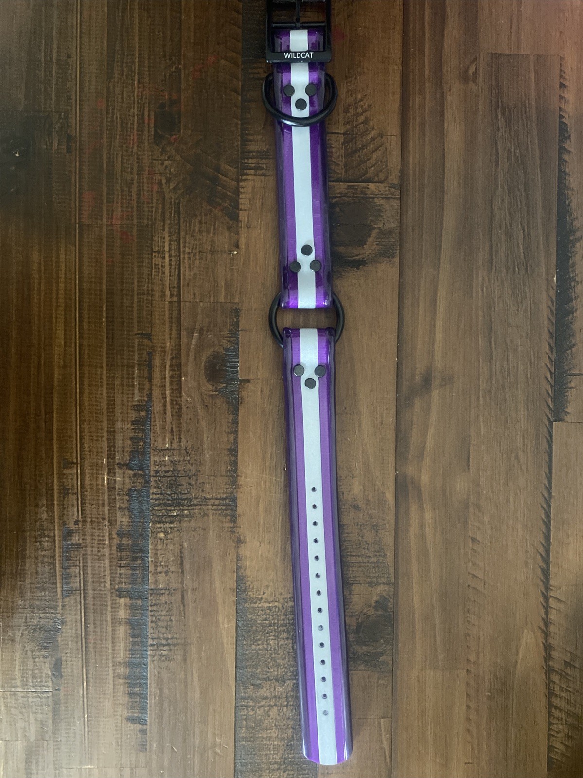Purple Reflective Dog Collar 1 1/2 Inch X 20 Inch Long At Last Hole On Collar