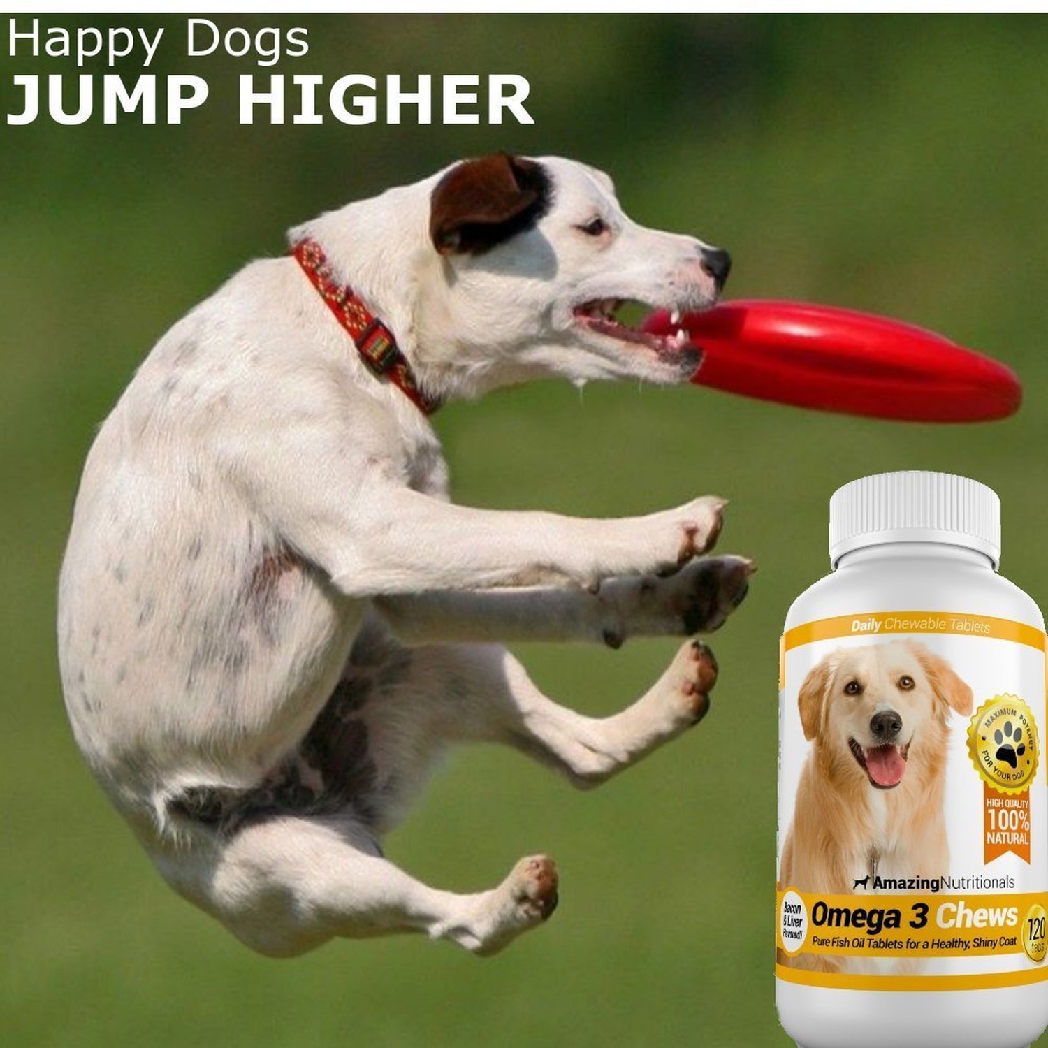 Amazing Omega 3 for Dogs – Shiny Coat, Less Itching, Tasty Bacon Flavored Chews