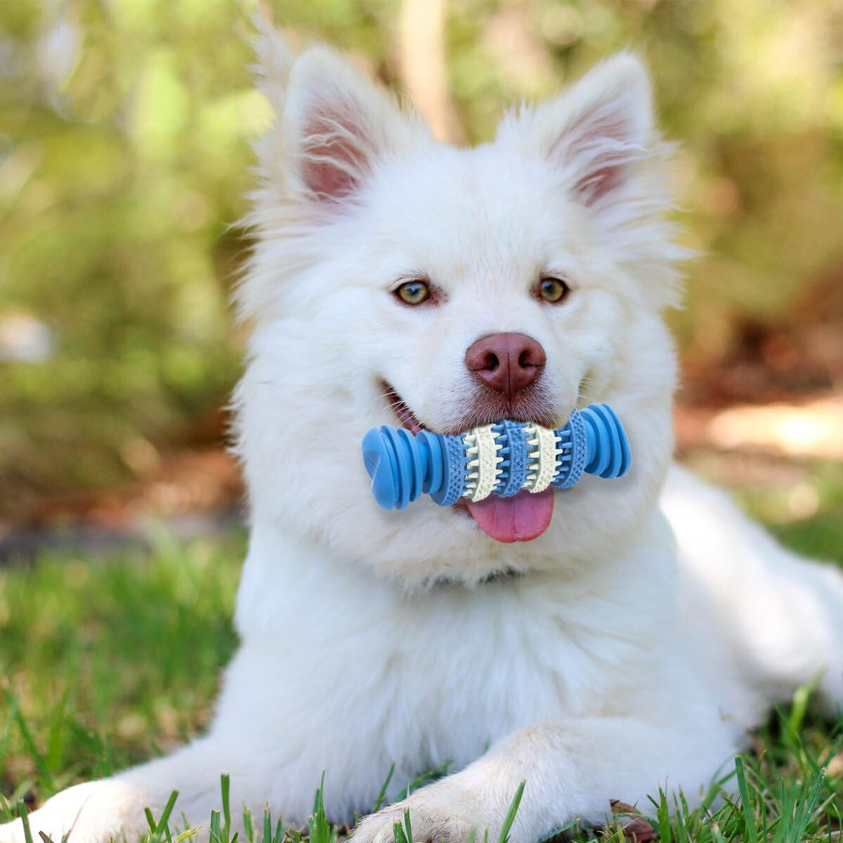 Dog Chew Toy Brushing Bone Treat Dispenser Aggressive Chewering Teething Puppies