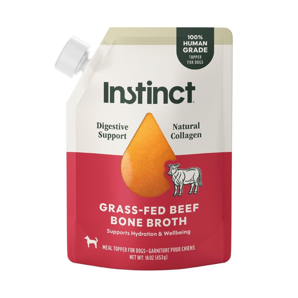 Instinct Bone Broth, Meal Topper for Dogs, Human 16 Fl Oz (Pack of 1), Silver
