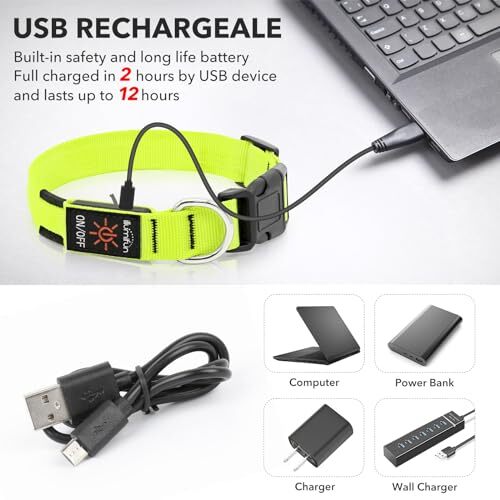Illumifun LED Dog Collar, USB Rechargeable Light Up Assorted Sizes , Colors
