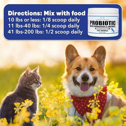 Probiotic, Prebiotic, Digestive Enzyme Powder for Dogs – 200 Servings