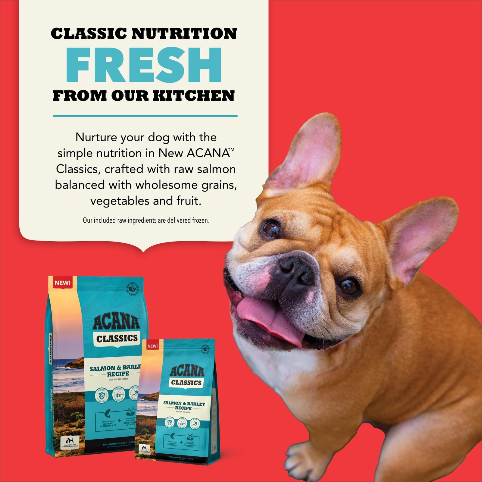 ACANA Classics Dry Dog Food Salmon and Barley Recipe 4lb 4 Pound (Pack of 1)
