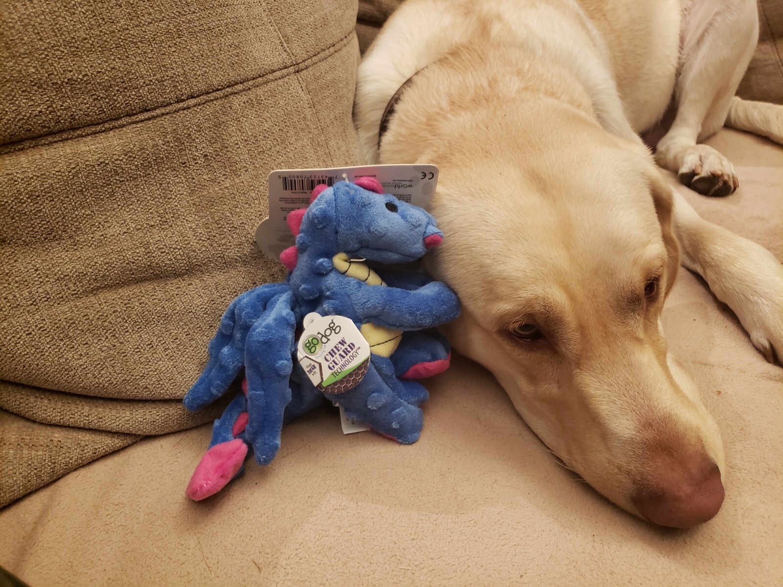 goDog Dragons Small Periwinkle Chew Guard Squeaker Plush Dog Toy 770800
