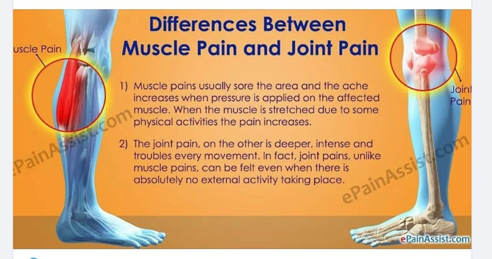 100% HERBS FOR JOINT & MUSCLE PAIN WOMEN & MEN – 120 CAPS – MADE IN USA