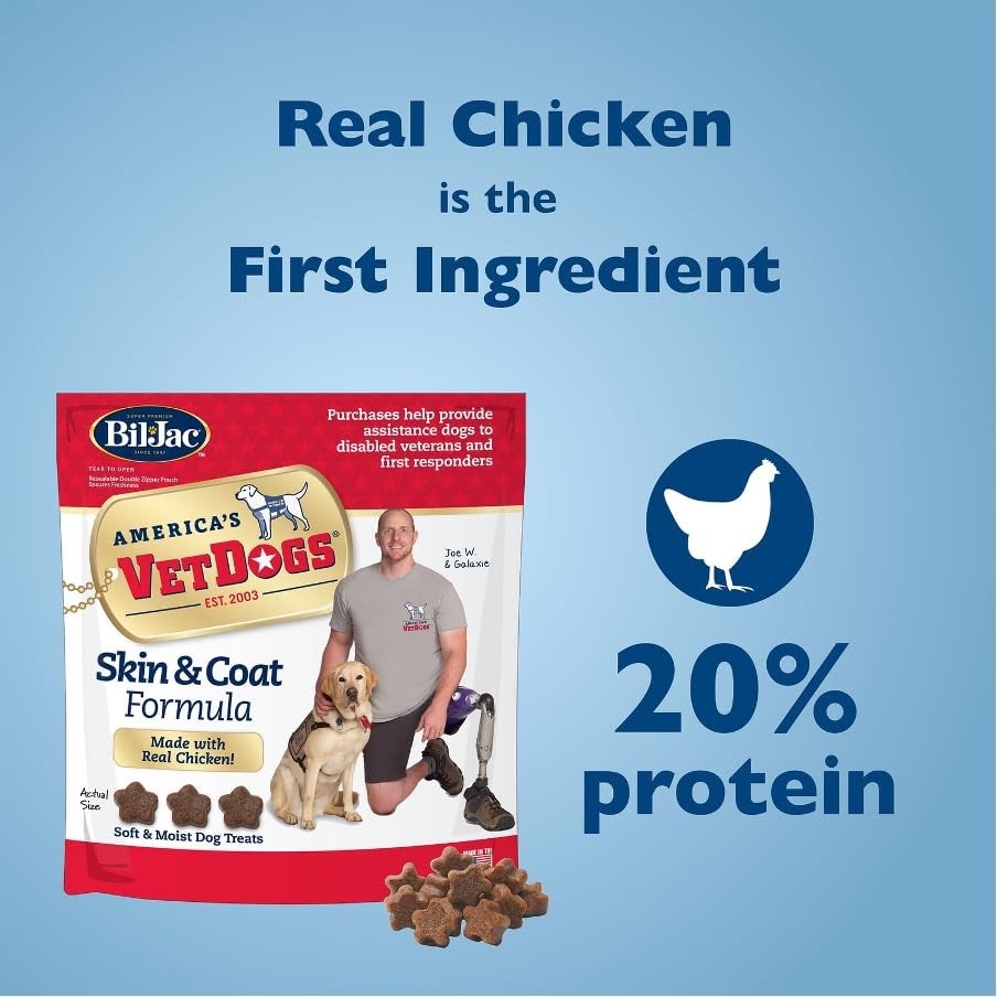 American VetDogs Veteran’s K-9 Corps Dog Treats – Tasty 10 Ounce (Pack of 1)