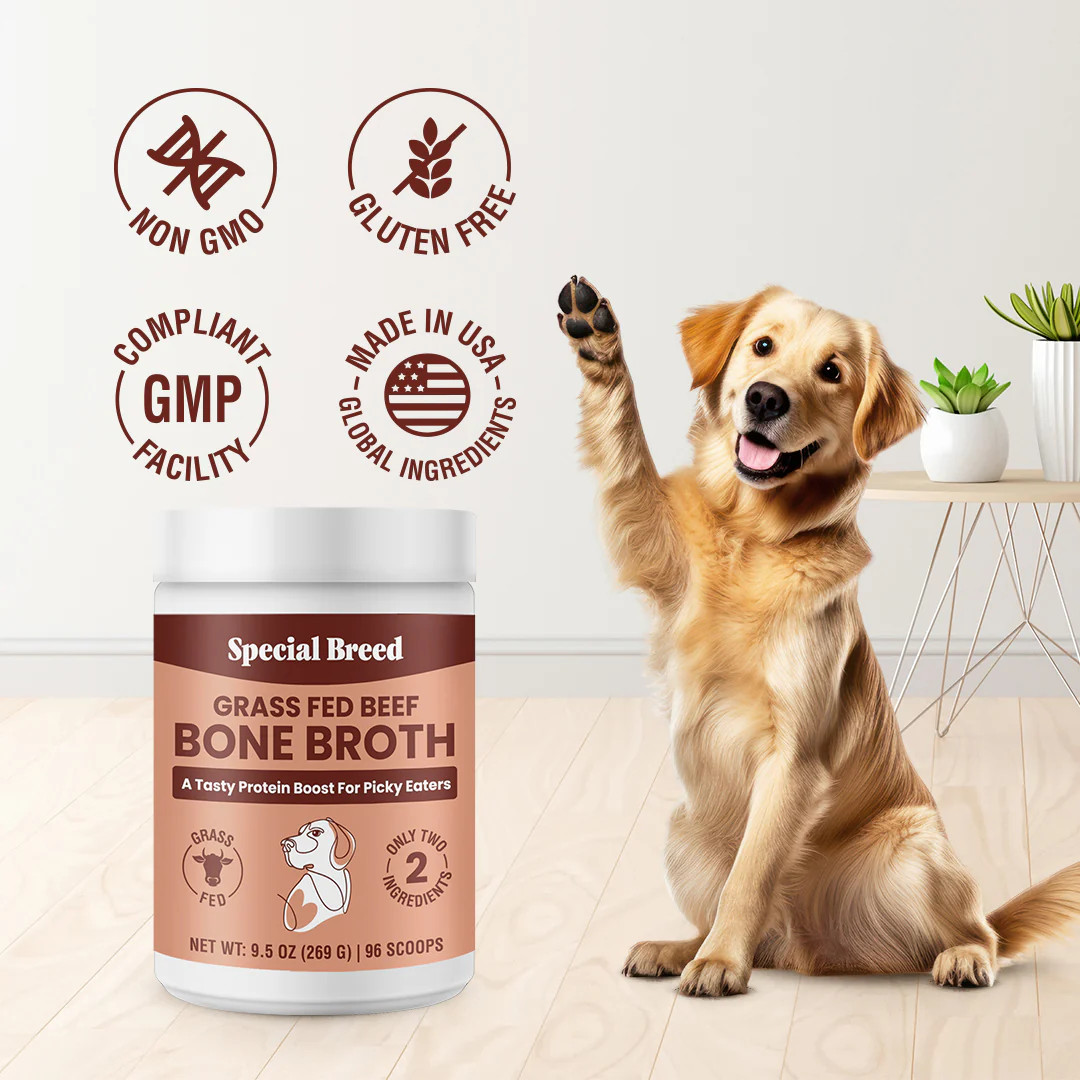 Bone Broth Powder 9.5oz