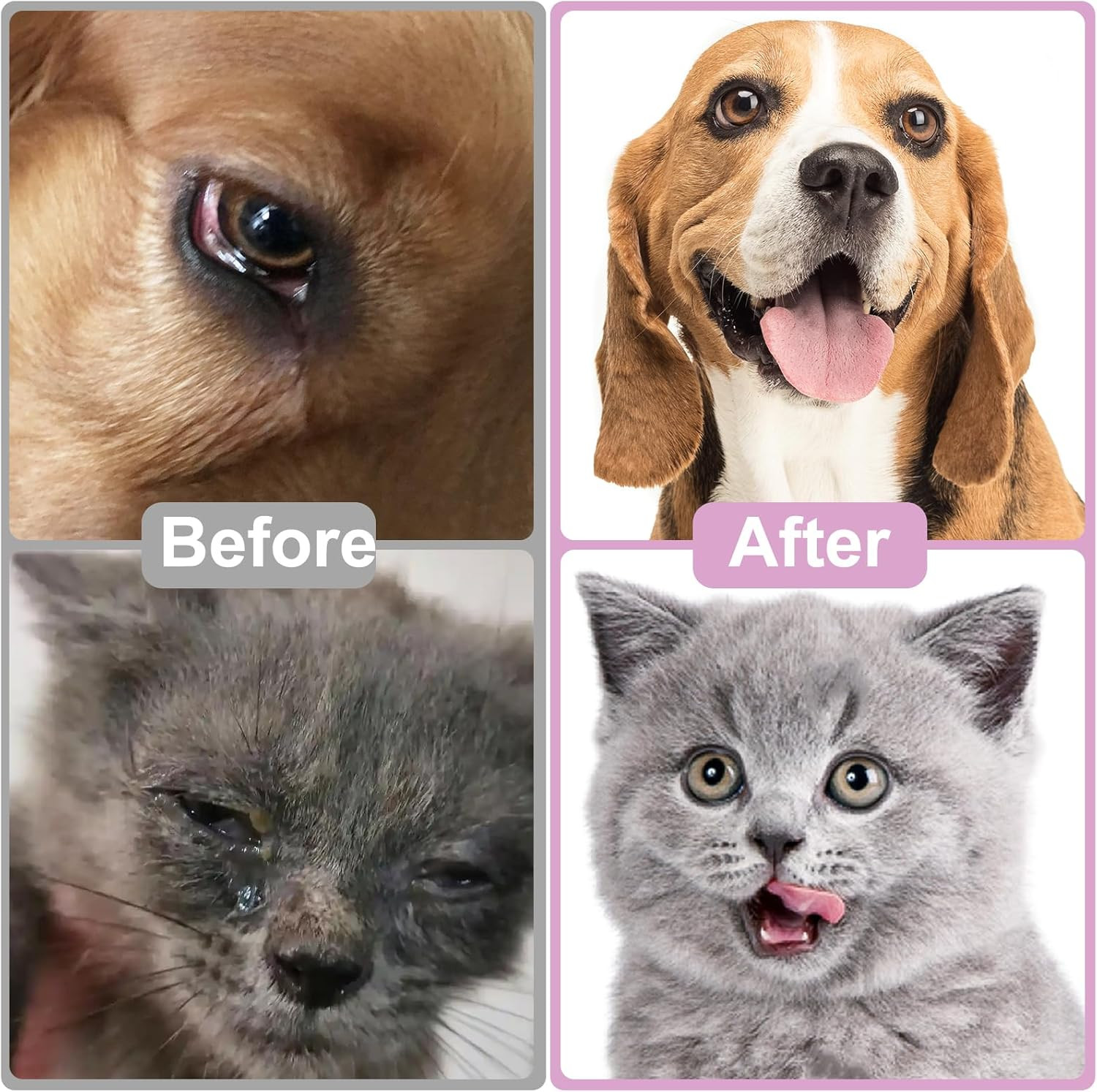 Pet Eye Drops for Dogs and Cats to Soothe Eyes Irritation & Infection Allergy,Re