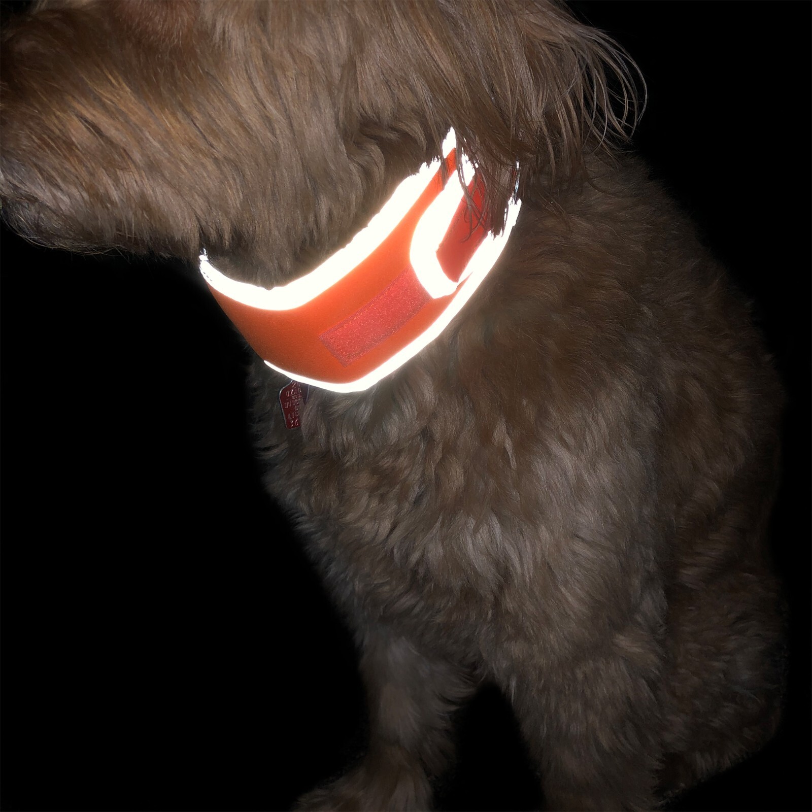 CoolerDog High-Vis Cooling Collar – Reflective Orange