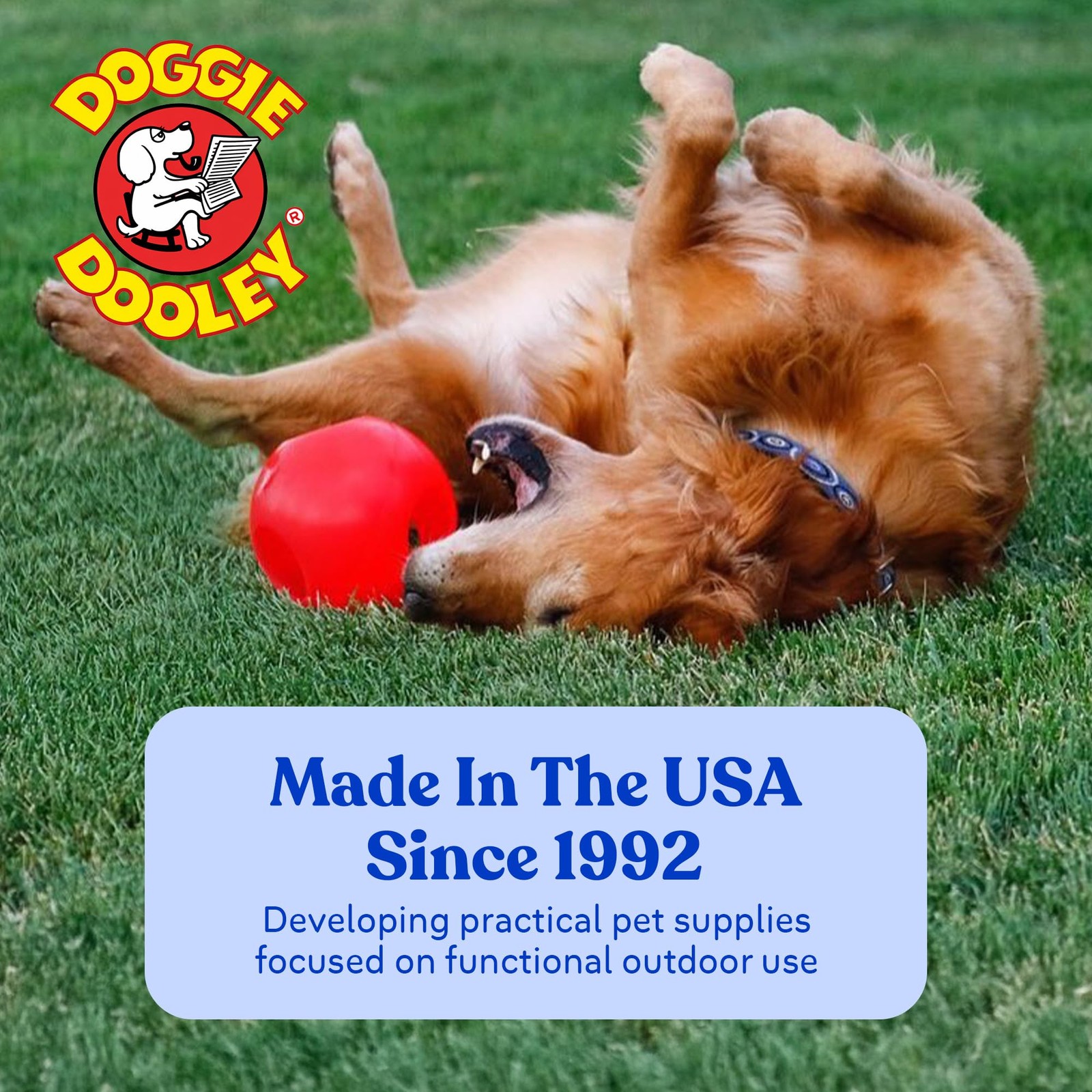 Indestructible 10″ Red Dog Ball – Best Durable Toy for Large Dogs