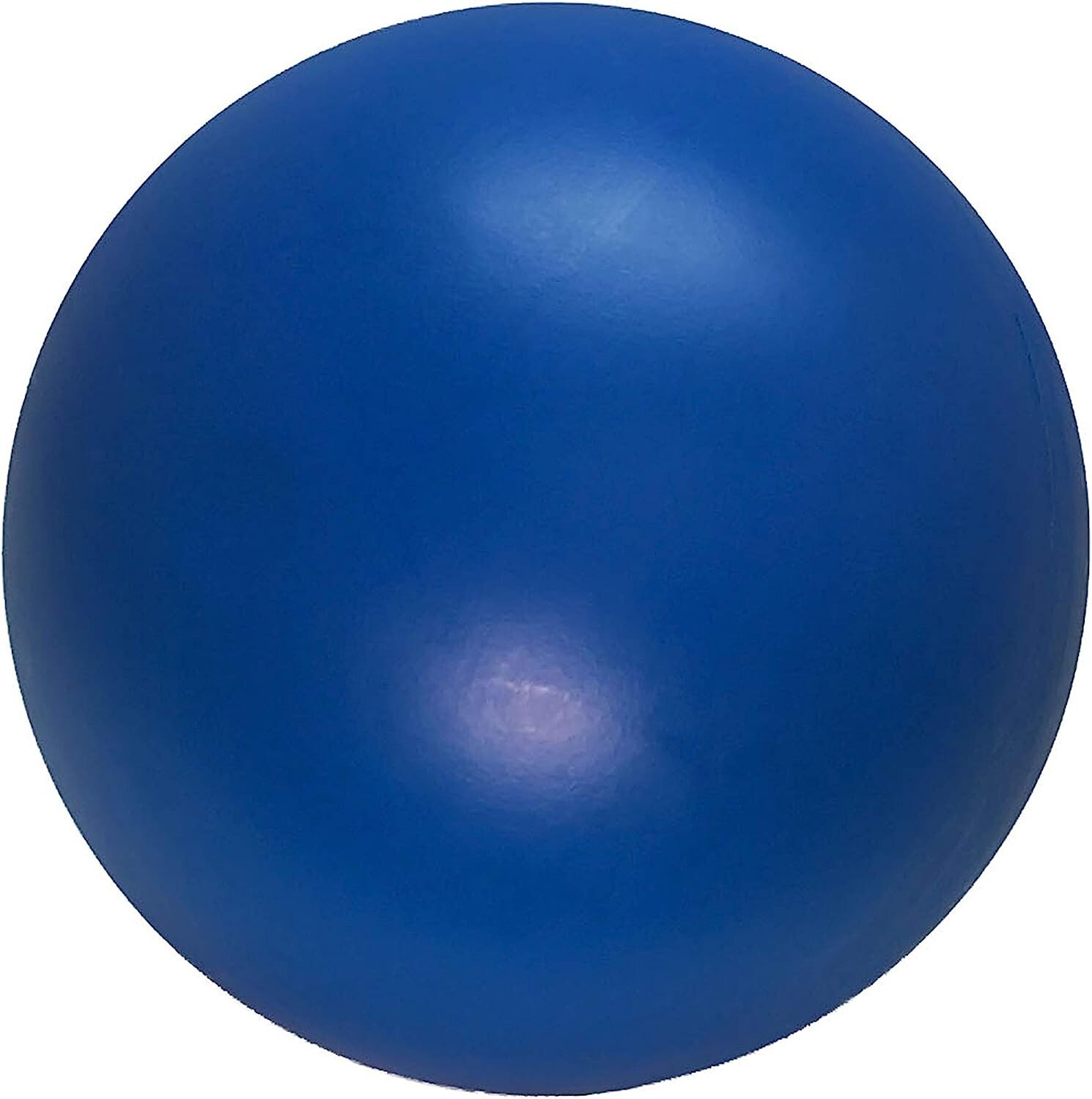 Durable USA-Made Dog Ball – Virtually Indestructible 10-Inch Outdoor Toy