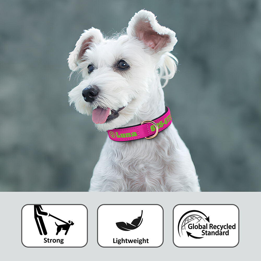 Personalized Nylon Dog Collar Custom Name Phone Print Soft Padded Adjustable S-L