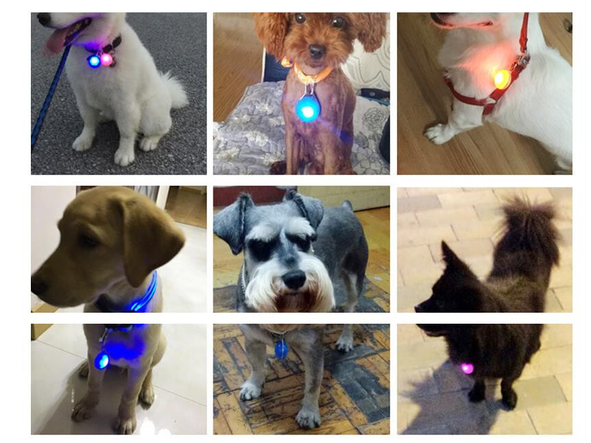 8x LED Dog Collar Light Clip On Pet Safety Night Flash Pendant Waterproof Tag