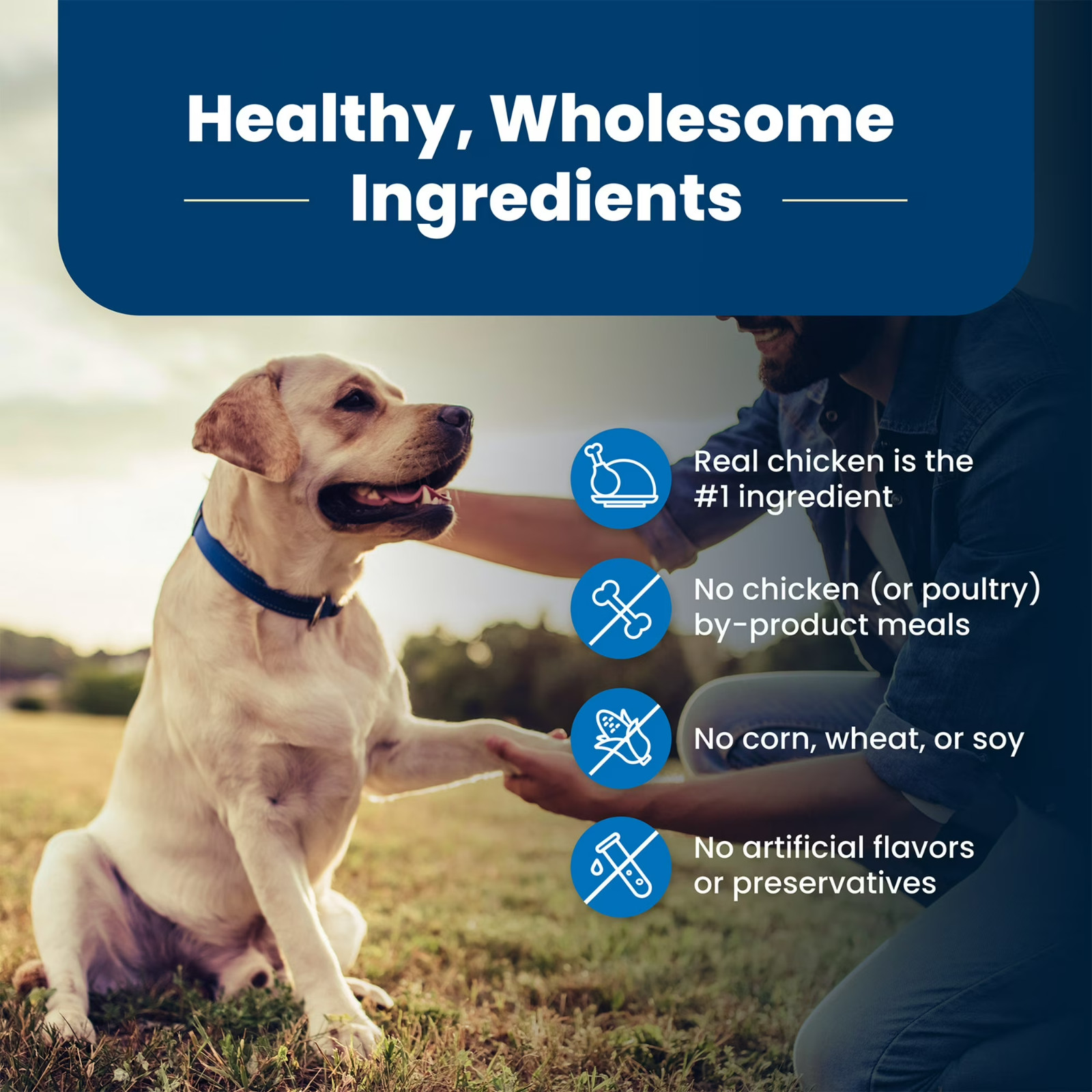 Blue Buffalo Life Protection Senior Dry Dog Food, Chicken & Brown Rice, 30 lbs