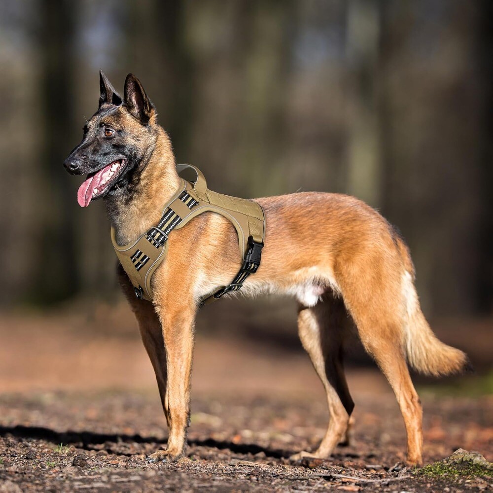 rabbitgoo Military Tactical No Pull Dog Harness with Handle Adjustable Training